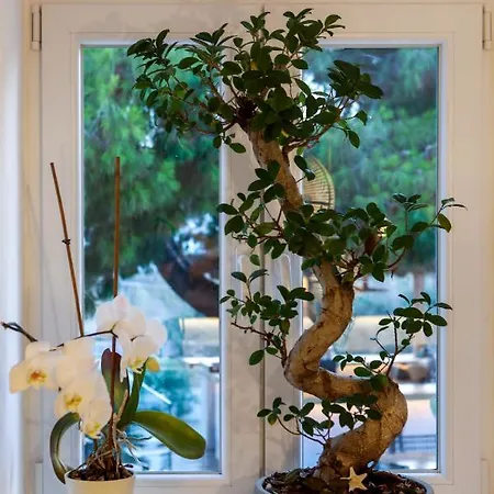 Casa Grande Отель 4*