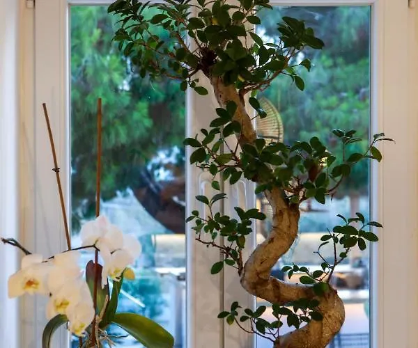 Casa Grande Hotell 4*