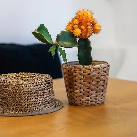 ホテル Casa Grande 4*