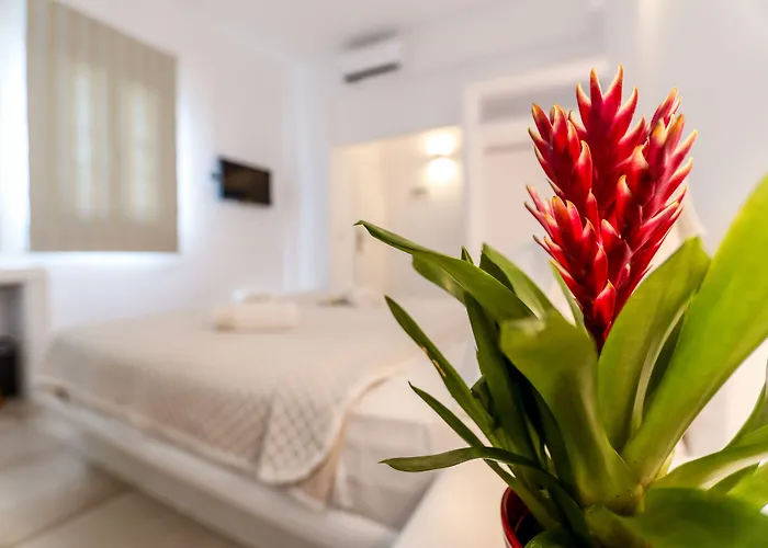 Casa Grande 호텔 Platys Gialos (Mykonos)